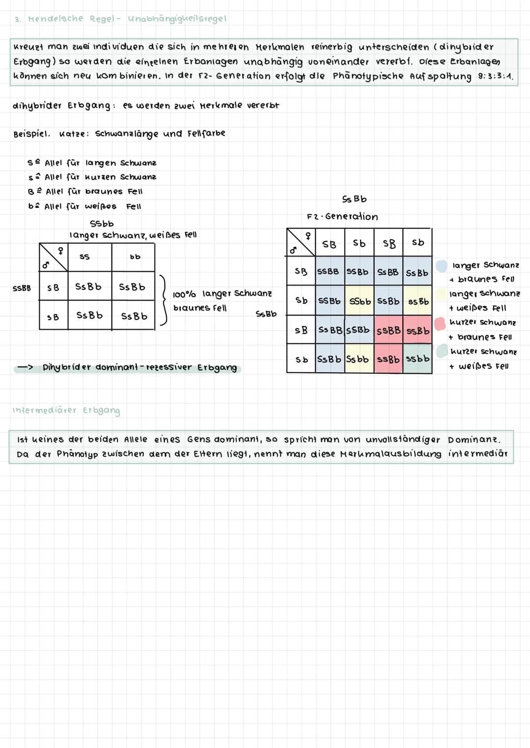 S-Phase
G2-Phase
Interphase
G1- Phase
S-Phase
O G2-Phase
S-Phase
0
O
G
Interphase
Zellzyklus
O
Mitose
DNA-Replikation (Verd opplung der
DNA 