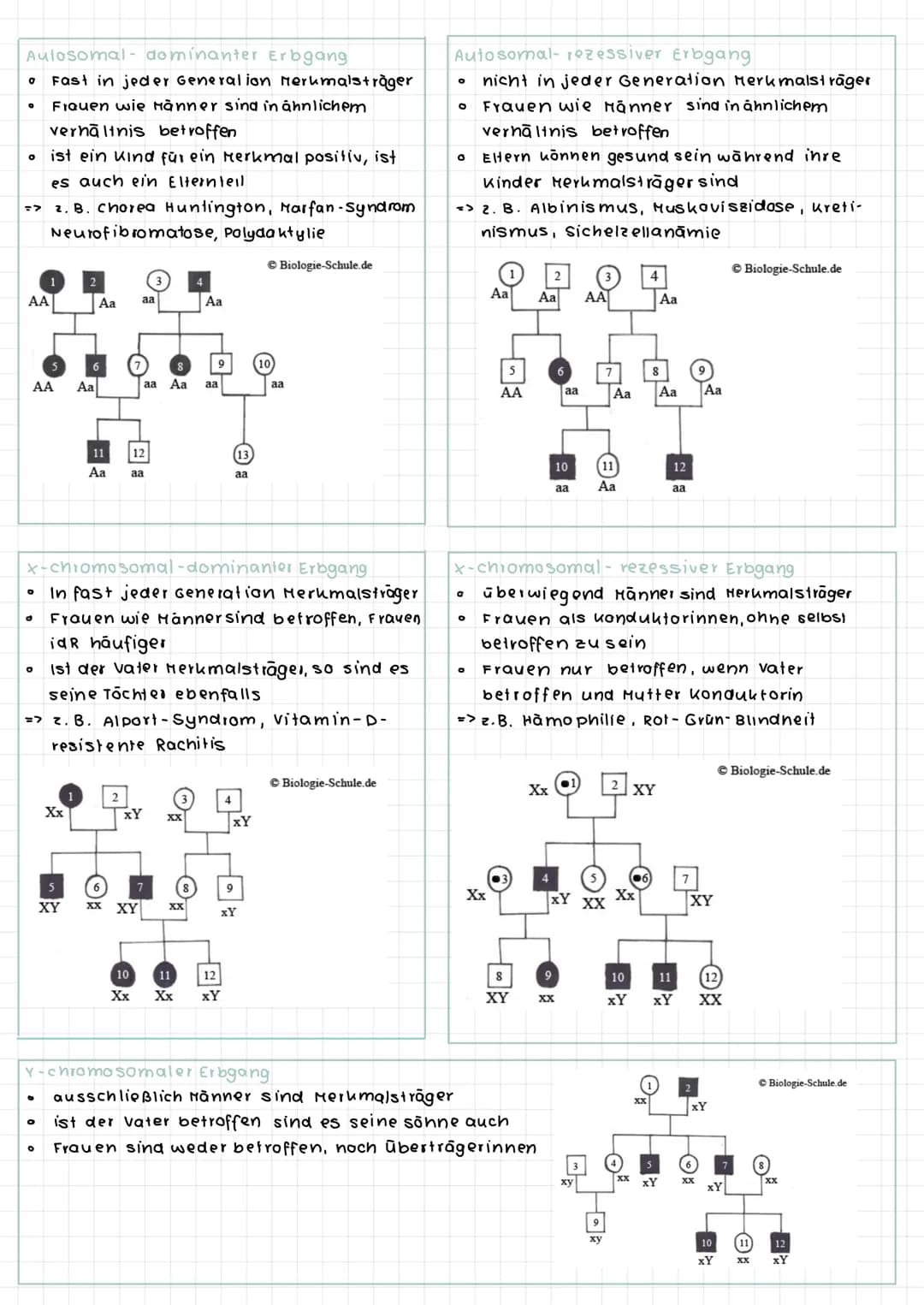 S-Phase
G2-Phase
Interphase
G1- Phase
S-Phase
O G2-Phase
S-Phase
0
O
G
Interphase
Zellzyklus
O
Mitose
DNA-Replikation (Verd opplung der
DNA 