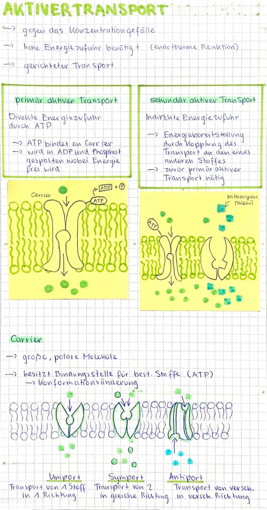 Diffusion / Aktiver Transport