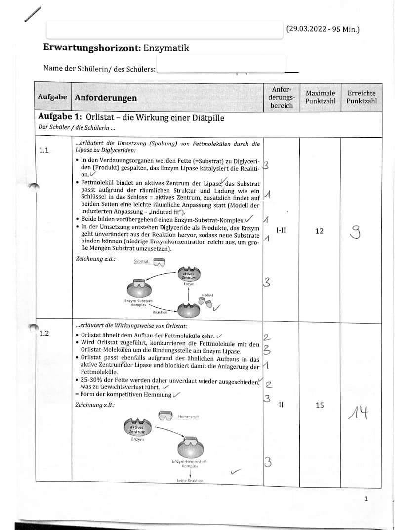 Name:
1.2
1.3
Aufgabe 1: Orlistat - Die Wirkung einer Diätpille
1.1 Erläutern Sie die Umsetzung (Spaltung) von Fettmolekülen durch die Lipas