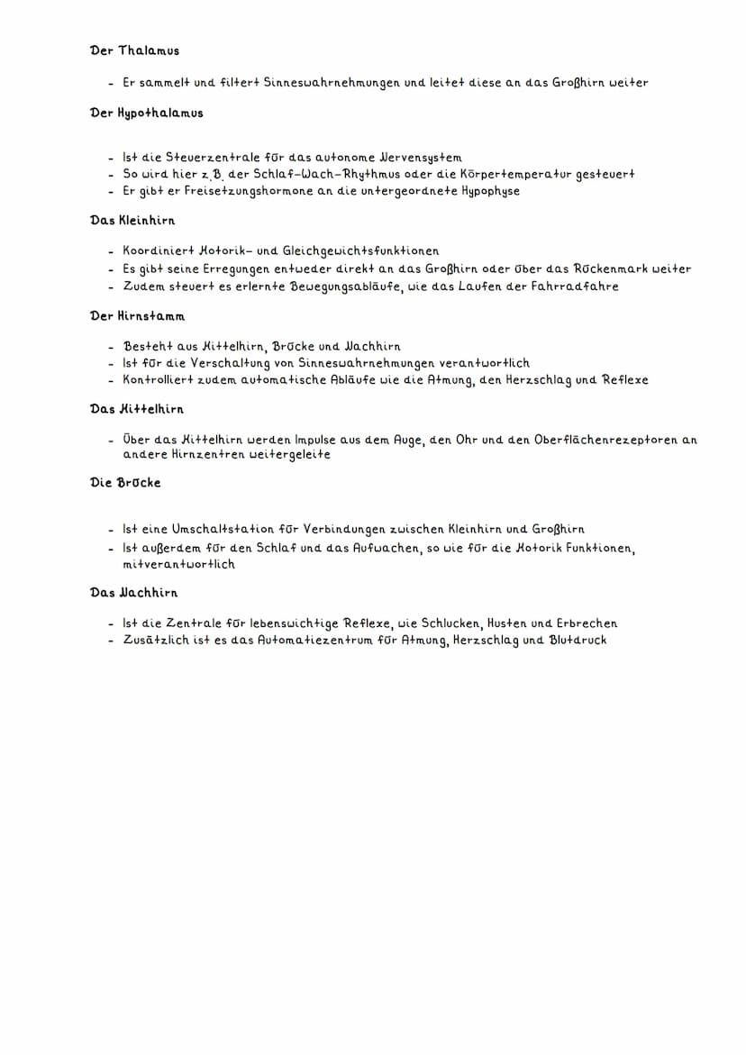 DAS GEHIRN
Definition:
Das Gehirn ist die Steuerzentrale unseres Körpers
- Bildet mit dem Rückenmark das zentrale Nervensystem
Es steht über