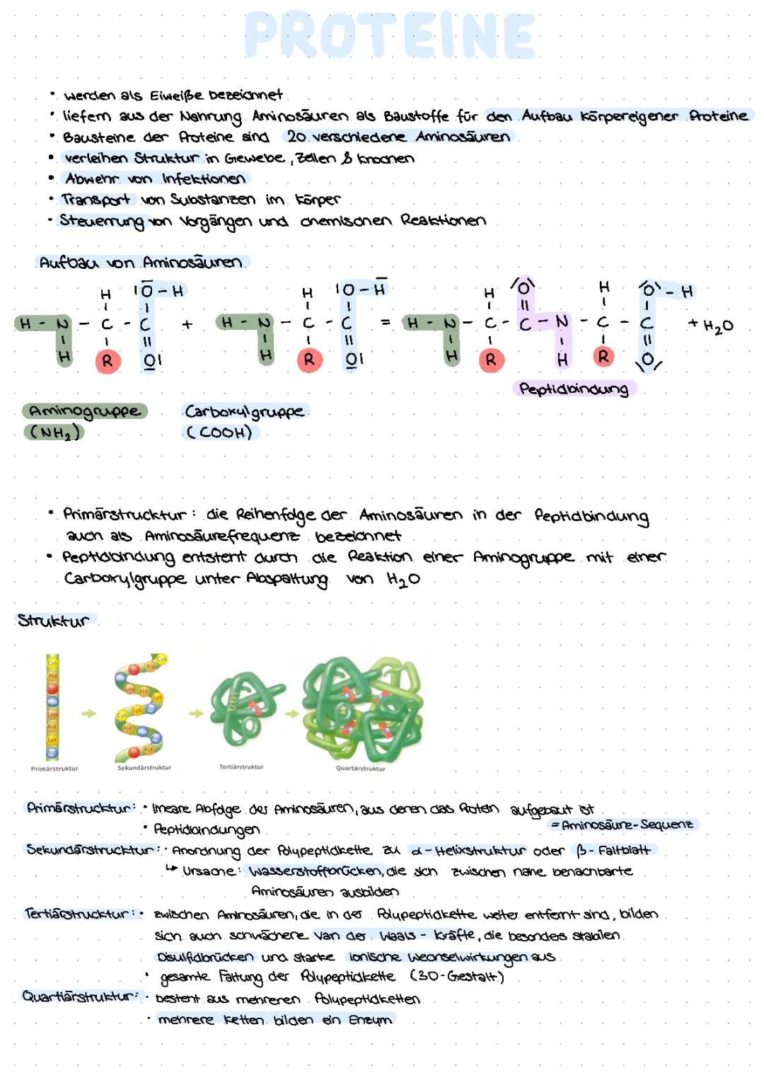 Proteine