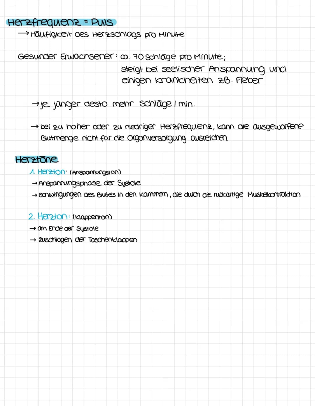 anatomie
obere Honivene
vena cava superior
rechter Vorhof
ventrikulus dextrum
Pulmonalklappe.
Trikuspidalklappe
rechte kammer
Atrium dextrum