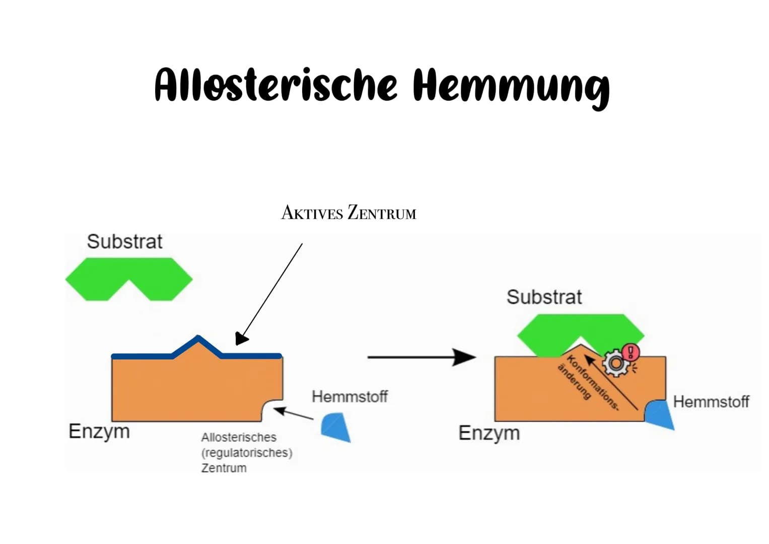 Enzymhemmung ENZYMHEMMUNG
Algemein
Soll ein Enzym nicht mehr arbeiten; also eine best. Reaktion
halalysieren, kann es gehemmt werden.
Nicht 