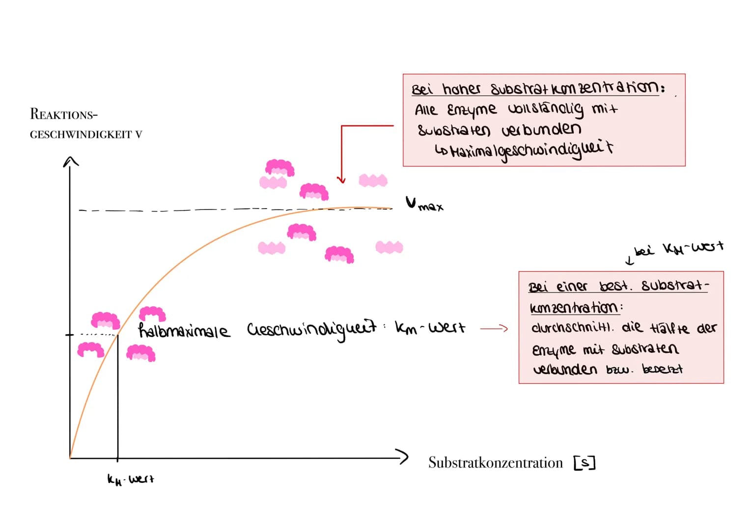 Enzymhemmung ENZYMHEMMUNG
Algemein
Soll ein Enzym nicht mehr arbeiten; also eine best. Reaktion
halalysieren, kann es gehemmt werden.
Nicht 