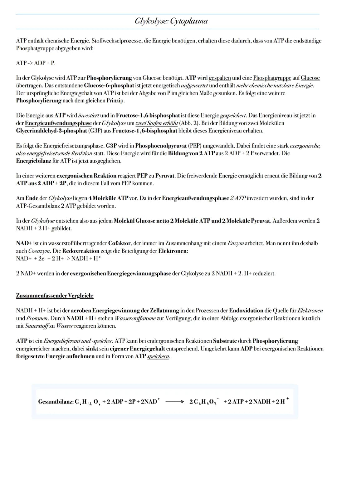 ABITUR: ZELLATMUNG
Biologie Leistungskurs in Niedersachsen
@worth.learning-H.H Ziel: Gewinn von Energie in Form von ATP durch den katabolen
