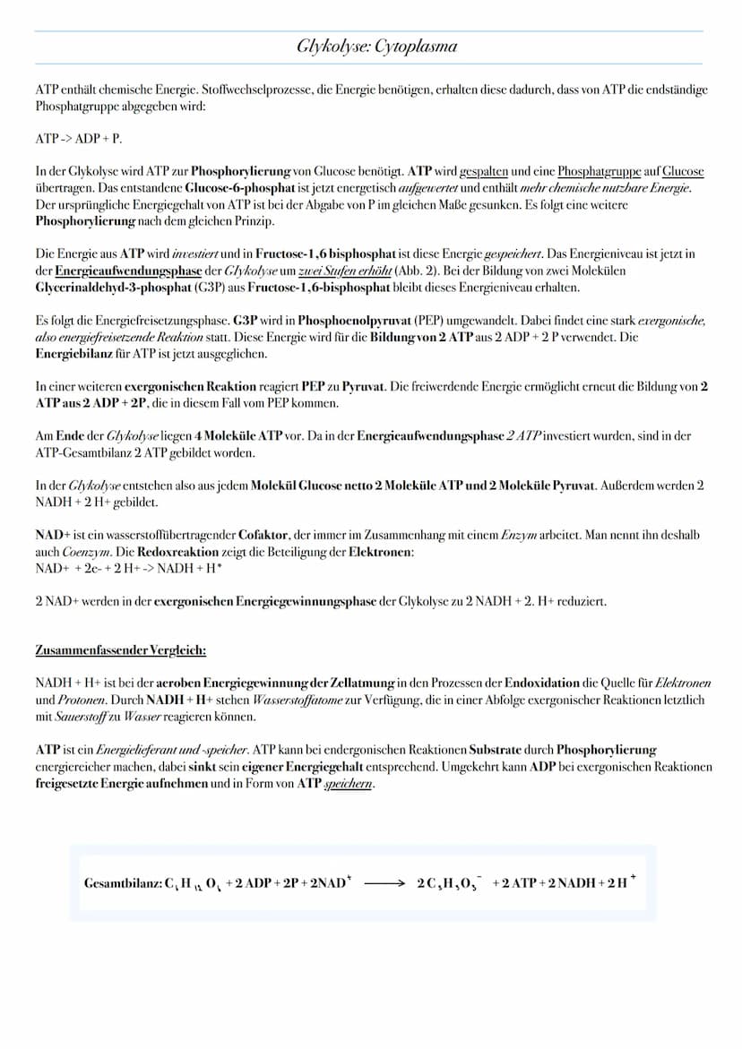 ABITUR: ZELLATMUNG
Biologie Leistungskurs in Niedersachsen
@worth.learning-H.H Ziel: Gewinn von Energie in Form von ATP durch den katabolen
