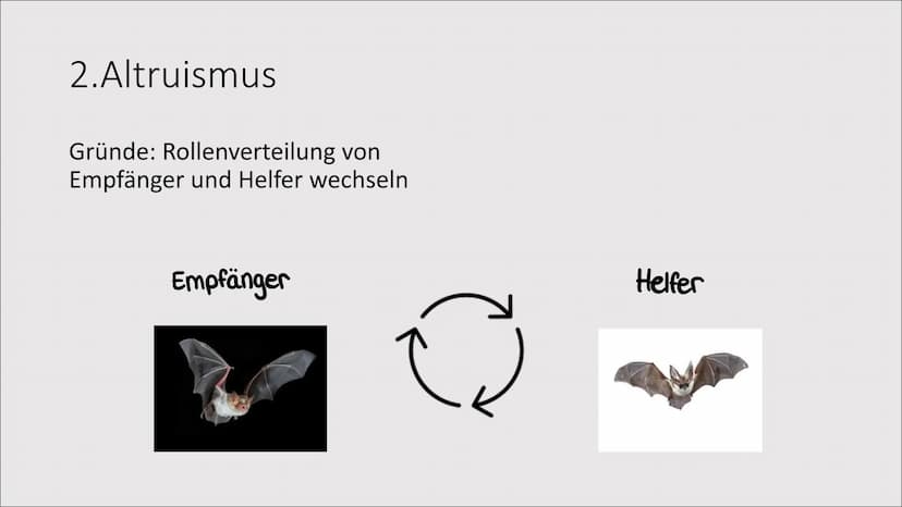 1. Evolution der Kooperation
Das Zusammenleben
von Individuen zum
gegenseitigen Vorteil
= 1. Evolution der Kooperation
Rangordnung und Rudel