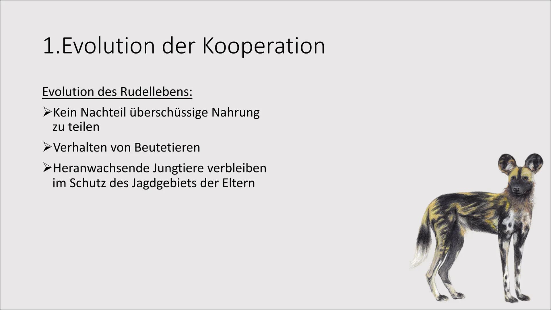 1. Evolution der Kooperation
Das Zusammenleben
von Individuen zum
gegenseitigen Vorteil
= 1. Evolution der Kooperation
Rangordnung und Rudel