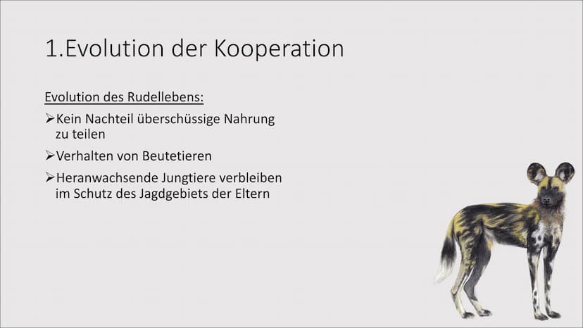 1. Evolution der Kooperation
Das Zusammenleben
von Individuen zum
gegenseitigen Vorteil
= 1. Evolution der Kooperation
Rangordnung und Rudel