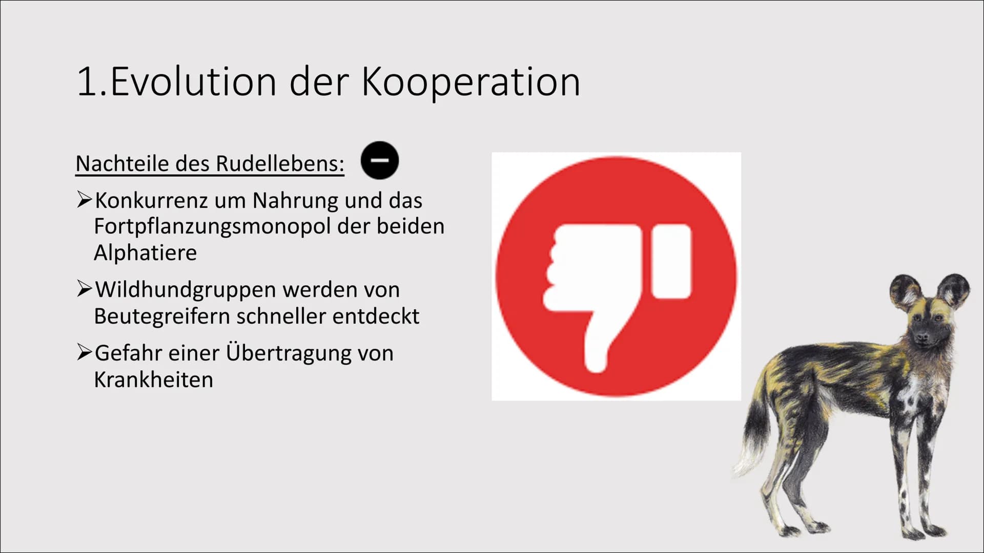 1. Evolution der Kooperation
Das Zusammenleben
von Individuen zum
gegenseitigen Vorteil
= 1. Evolution der Kooperation
Rangordnung und Rudel