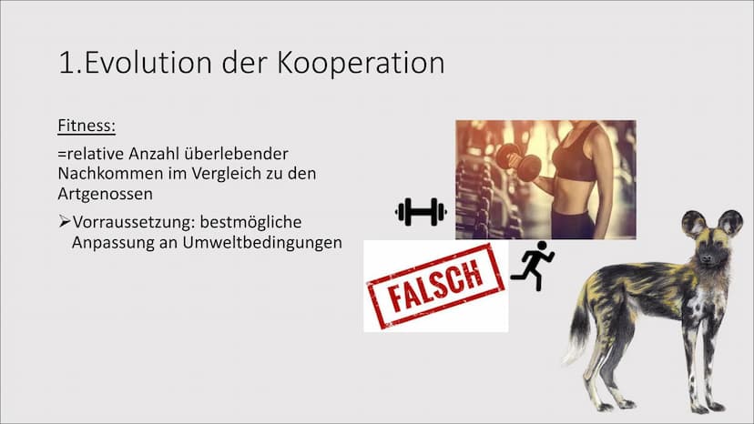 1. Evolution der Kooperation
Das Zusammenleben
von Individuen zum
gegenseitigen Vorteil
= 1. Evolution der Kooperation
Rangordnung und Rudel