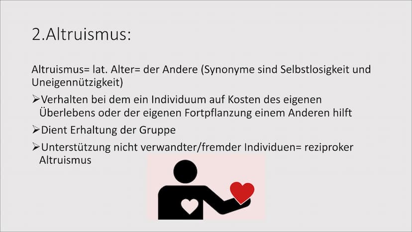 1. Evolution der Kooperation
Das Zusammenleben
von Individuen zum
gegenseitigen Vorteil
= 1. Evolution der Kooperation
Rangordnung und Rudel