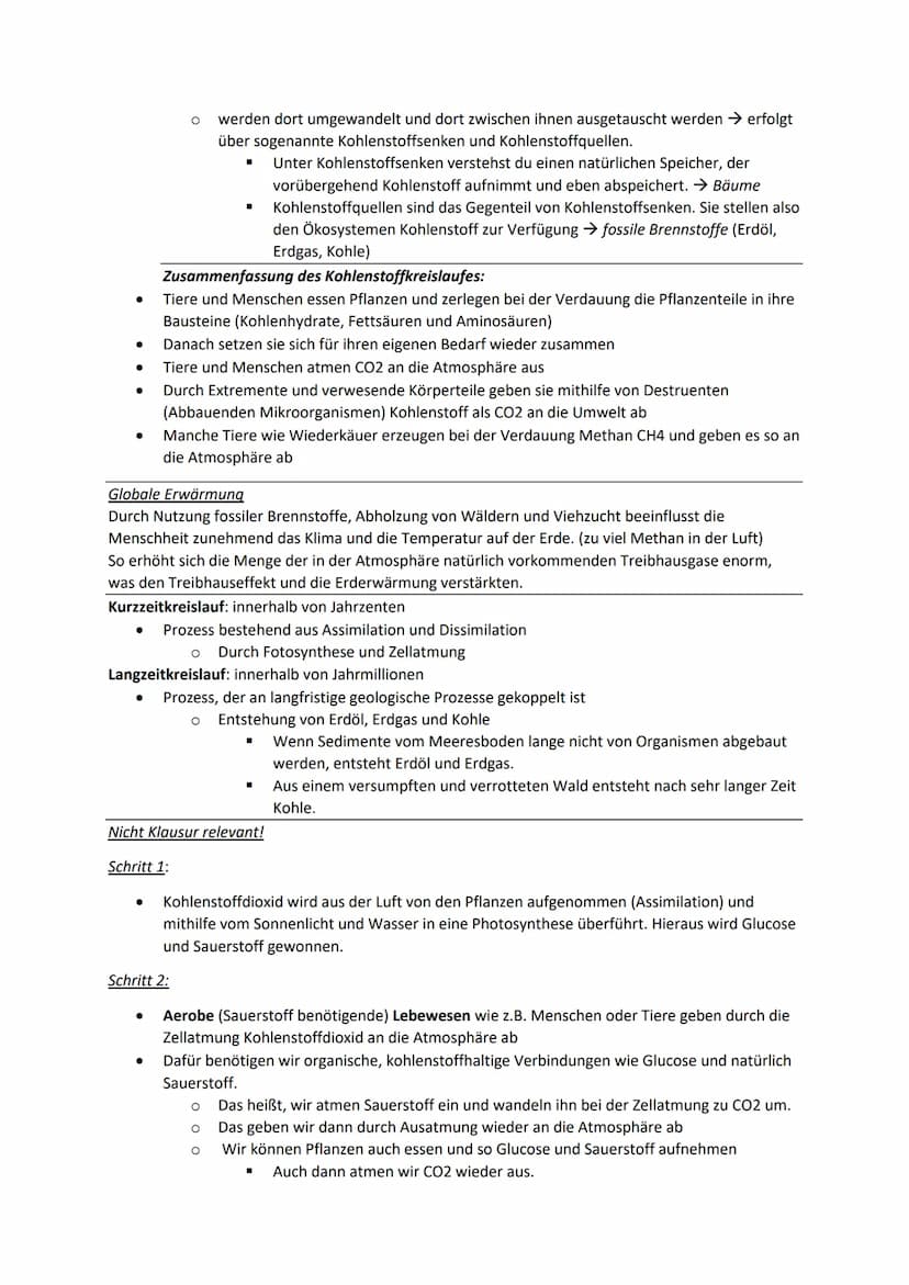 I.
A. Nahrungskette
Biolernzettel Part 1: Ökologie
Nahrungsbeziehungen
Jedes Tier ist ein Teil davon. Nahrungsketten weisen eine lineare Nah