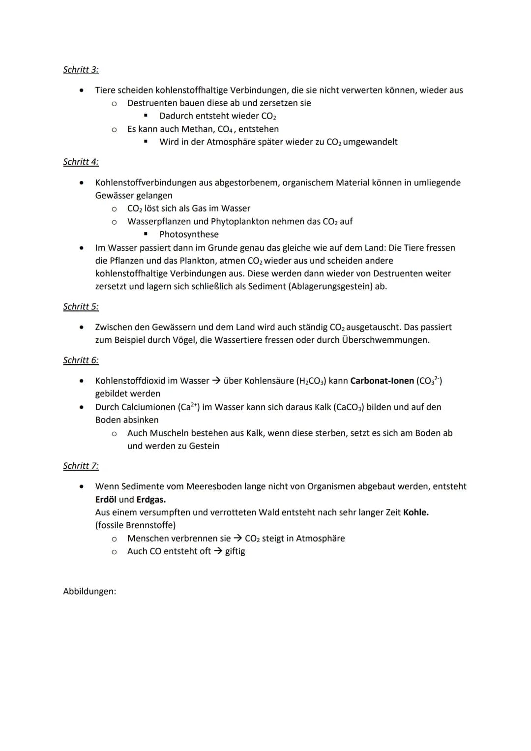 I.
A. Nahrungskette
Biolernzettel Part 1: Ökologie
Nahrungsbeziehungen
Jedes Tier ist ein Teil davon. Nahrungsketten weisen eine lineare Nah