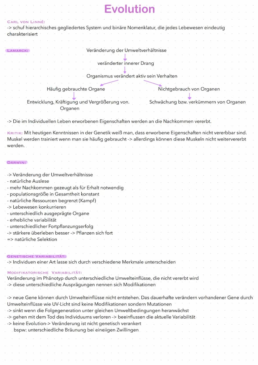 Biologic
EVOLUTION
BL Evolution
CARL VON LINNÉ:
-> schuf hierarchisches gegliedertes System und binäre Nomenklatur, die jedes Lebewesen eind