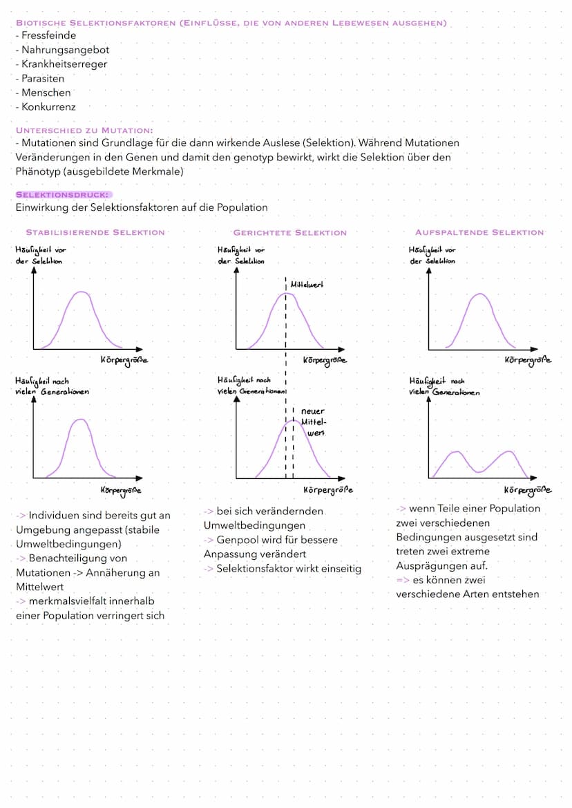 Biologic
EVOLUTION
BL Evolution
CARL VON LINNÉ:
-> schuf hierarchisches gegliedertes System und binäre Nomenklatur, die jedes Lebewesen eind