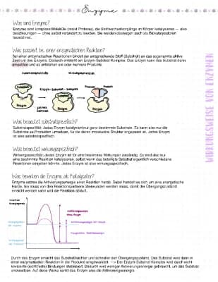 Know Enzymatik  thumbnail