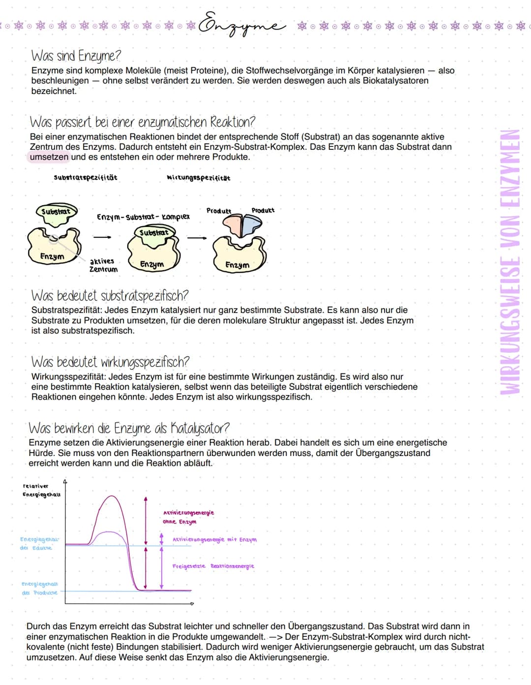 Enzyme
Was sind Enzyme?
Enzyme sind komplexe Moleküle (meist Proteine), die Stoffwechselvorgänge im Körper katalysieren - also
beschleunigen
