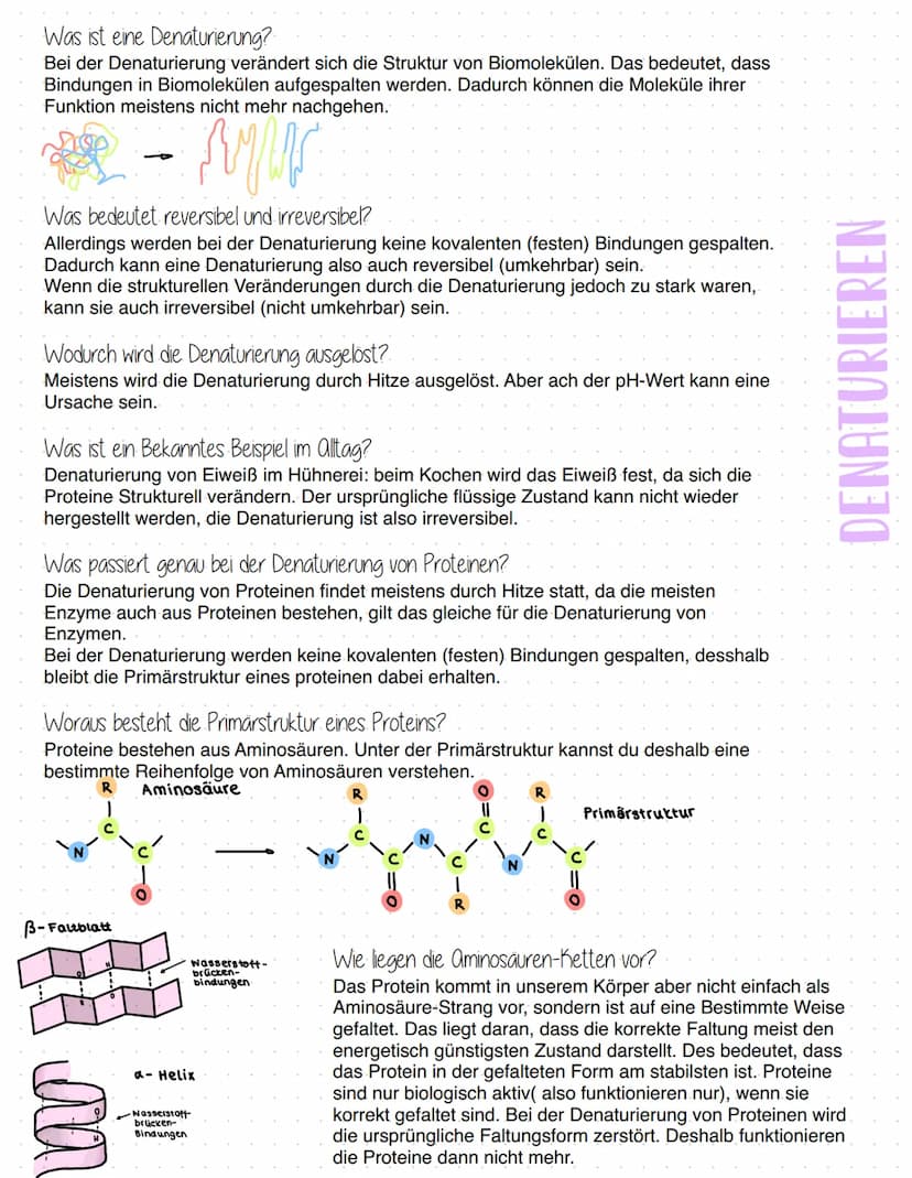 Enzyme
Was sind Enzyme?
Enzyme sind komplexe Moleküle (meist Proteine), die Stoffwechselvorgänge im Körper katalysieren - also
beschleunigen
