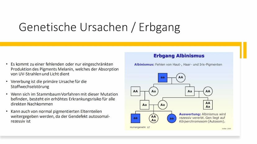 Albinismus Inhaltsverzeichnis
Was ist Albinismus?
Symptome und Beschwerden
• Genetische Ursachen / Erbgang
●
Unterschiedliche Formen des Alb