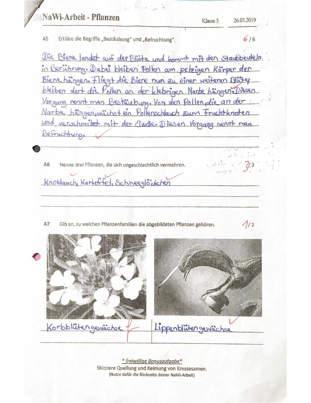 NaWi-Arbeit - Pflanzen
Vor- und Nachname: Alessia
+3
32/35
Erreichte Punktzahl:
Notenspiegel
4 5
1
2 3
Ø
10 2 2 335 3,0
A1
A2
6
1
2
Benenne 
