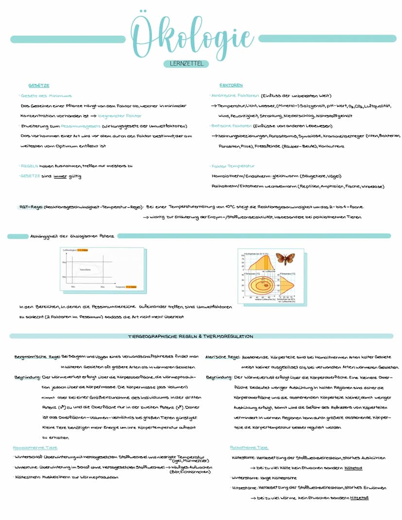 Ökologie
Oikos Haushalt
die Lehre vom Haushalt der Natur
die Beziehung der Lebewesen untereinander und zu
den abiotischen Faktoren
Gliederun