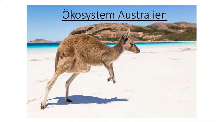 Know Ökosystem Australien  thumbnail