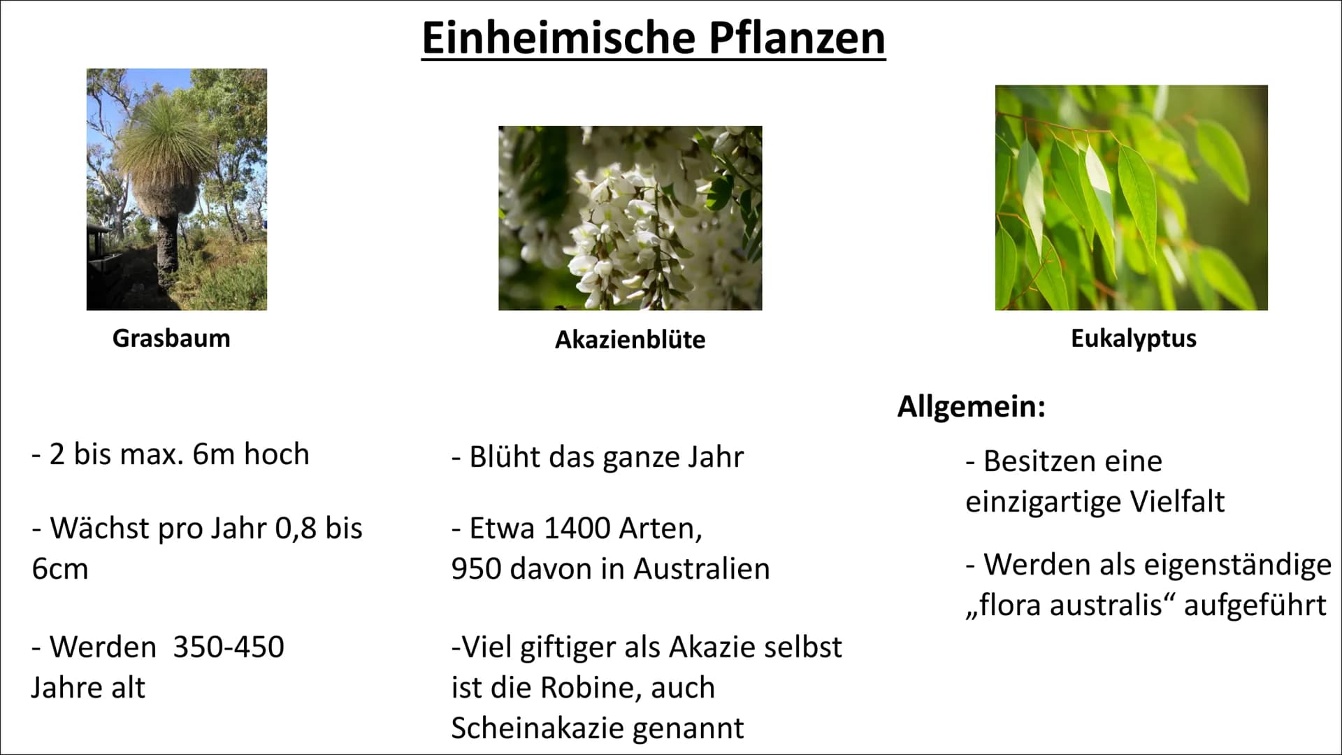 Ökosystem Australien Inhaltsverzeichnis
- Ökosystem Australien
- Entstehung des Ökosystem
Australien
- Symbiose
- Abiotische Faktoren (Klima