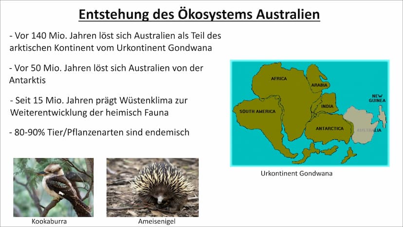 Ökosystem Australien Inhaltsverzeichnis
- Ökosystem Australien
- Entstehung des Ökosystem
Australien
- Symbiose
- Abiotische Faktoren (Klima