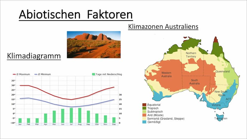 Ökosystem Australien Inhaltsverzeichnis
- Ökosystem Australien
- Entstehung des Ökosystem
Australien
- Symbiose
- Abiotische Faktoren (Klima