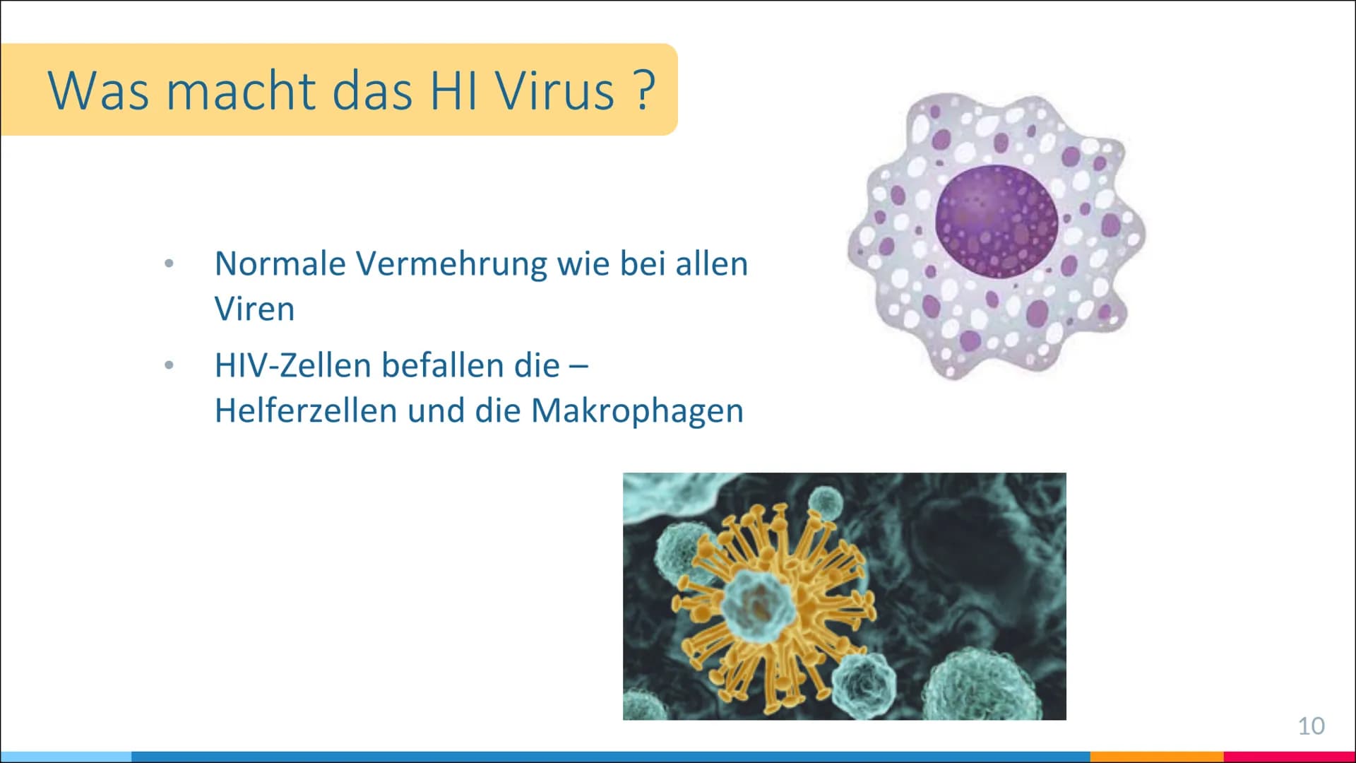 HIV-Infektion
Infektionswege, Infektion und Folgen einer Infektion 66
HIV steht für Humane Immundefizienz-Virus
und wird auch Menschliches
I