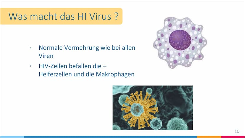 HIV-Infektion
Infektionswege, Infektion und Folgen einer Infektion 66
HIV steht für Humane Immundefizienz-Virus
und wird auch Menschliches
I
