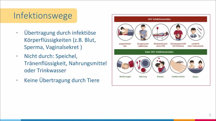 HIV-Infektion
Infektionswege, Infektion und Folgen einer Infektion 66
HIV steht für Humane Immundefizienz-Virus
und wird auch Menschliches
I
