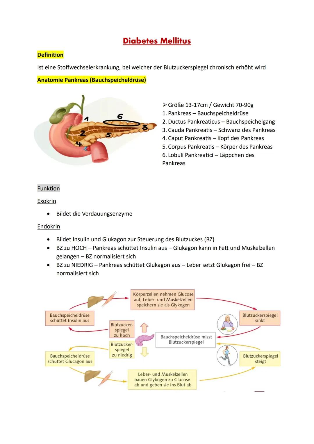 Was du über Diabetes Mellitus wissen musst: Ursachen, Symptome und Therapiemöglichkeiten