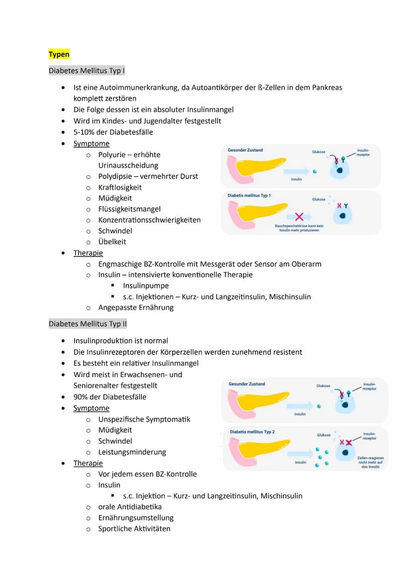 Definition
Ist eine Stoffwechselerkrankung, bei welcher der Blutzuckerspiegel chronisch erhöht wird
Anatomie Pankreas (Bauchspeicheldrüse)
F