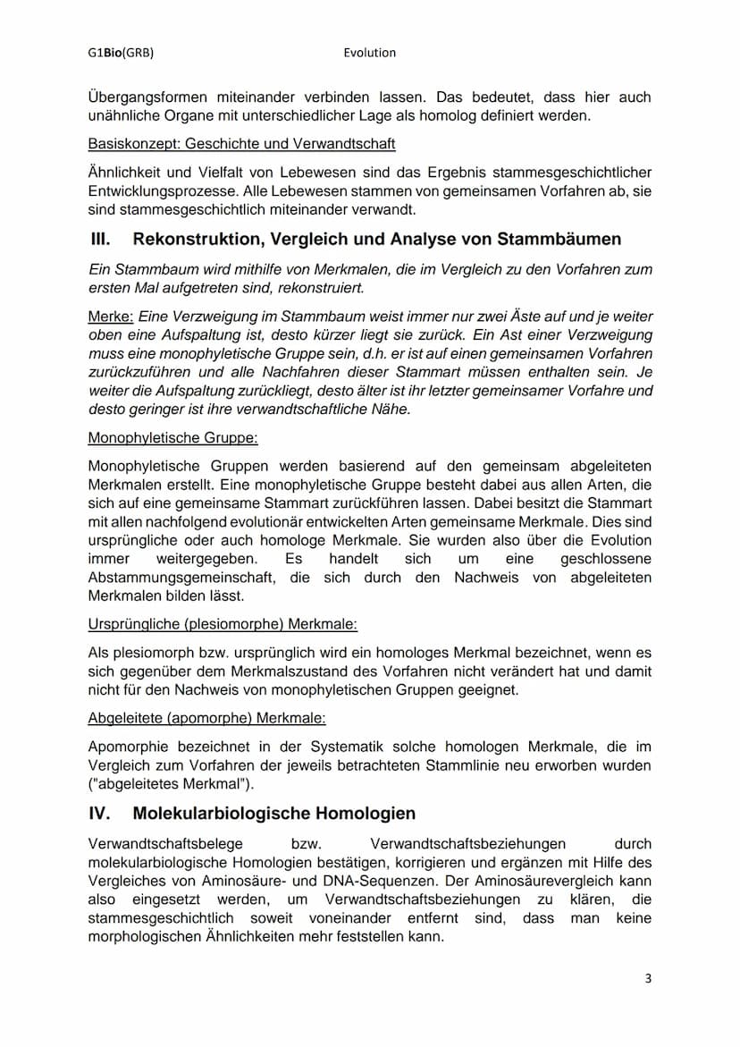 G1Bio(GRB)
Evolution
► Rekonstruktion der stammesgeschichtlichen Abläufe der Organismen
I. Systematik: hierarchisches System (Rskofga)
Ziel 
