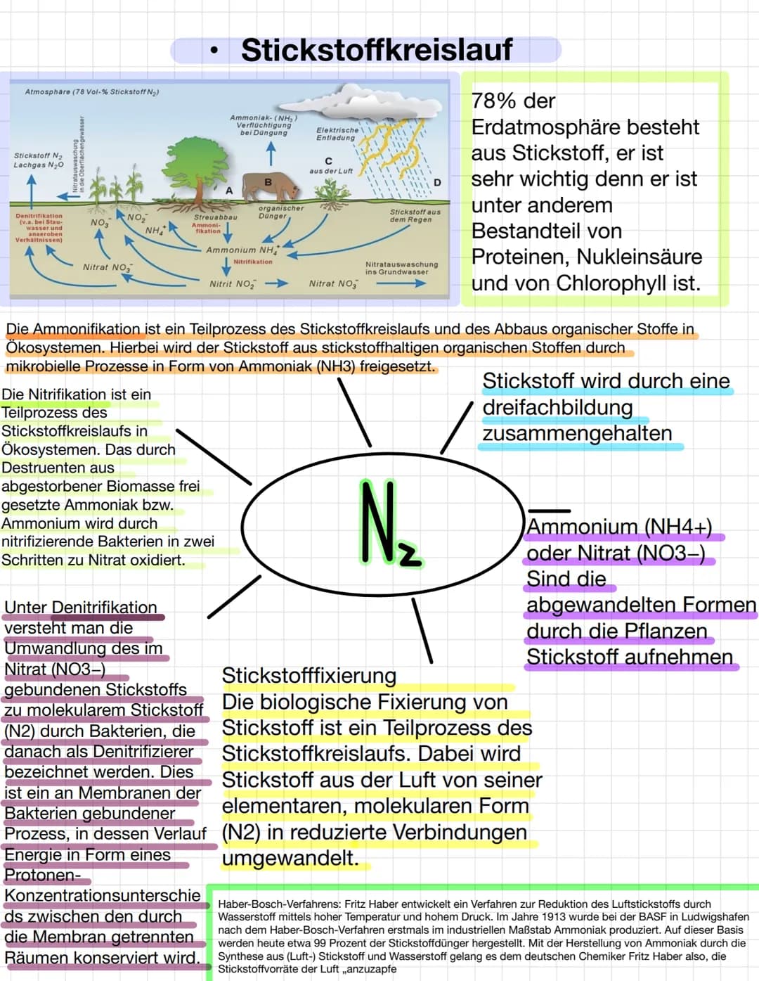Atmosphäre (78 Vol-% Stickstoff N₂)
Stickstoff N₂
Lachgas N₂O
Denitrifikation
(v.a. bei Stau-
wasser und
anaeroben
Verhältnissen)
NO
Nitrat 