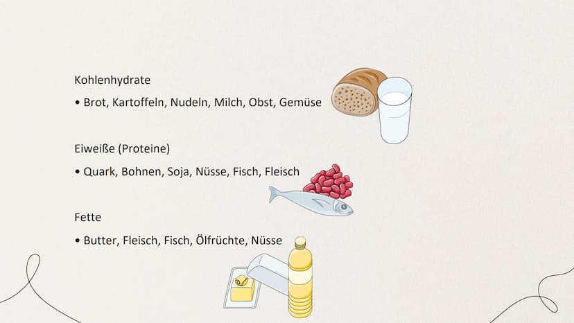 ERNÄHRUNG UND
VERDAUUNG
von Mia Edelmann GLIEDERUNG
1. Organische Stoffe
2. Verdauung des Menschens
2.1 Bau des Verdauungskanals
2.2 Wirkung