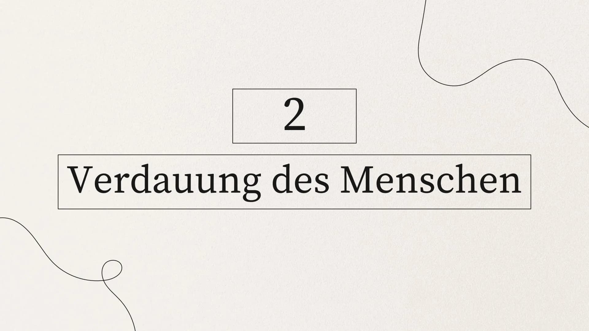 ERNÄHRUNG UND
VERDAUUNG
von Mia Edelmann GLIEDERUNG
1. Organische Stoffe
2. Verdauung des Menschens
2.1 Bau des Verdauungskanals
2.2 Wirkung