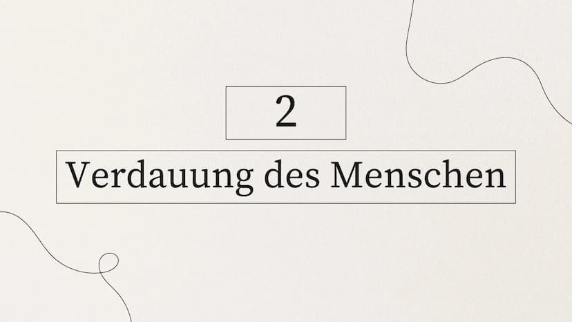 ERNÄHRUNG UND
VERDAUUNG
von Mia Edelmann GLIEDERUNG
1. Organische Stoffe
2. Verdauung des Menschens
2.1 Bau des Verdauungskanals
2.2 Wirkung