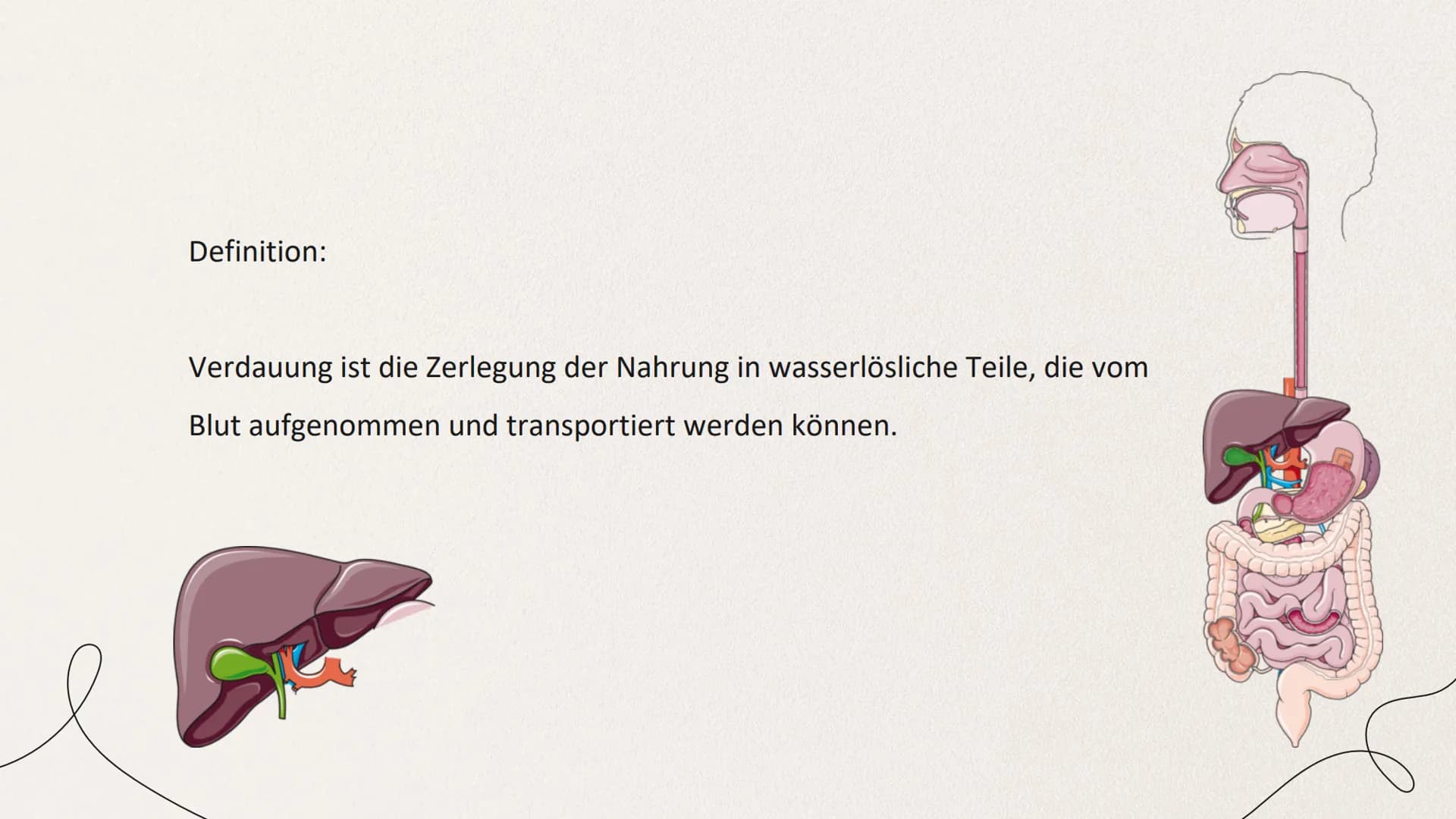 ERNÄHRUNG UND
VERDAUUNG
von Mia Edelmann GLIEDERUNG
1. Organische Stoffe
2. Verdauung des Menschens
2.1 Bau des Verdauungskanals
2.2 Wirkung
