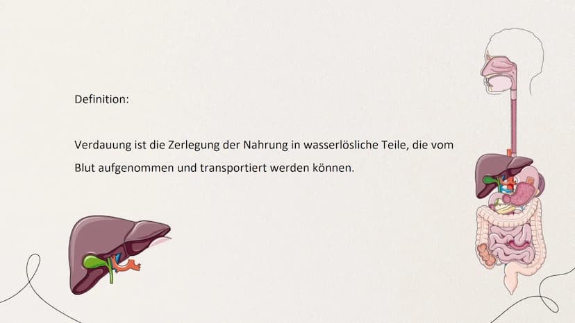 ERNÄHRUNG UND
VERDAUUNG
von Mia Edelmann GLIEDERUNG
1. Organische Stoffe
2. Verdauung des Menschens
2.1 Bau des Verdauungskanals
2.2 Wirkung