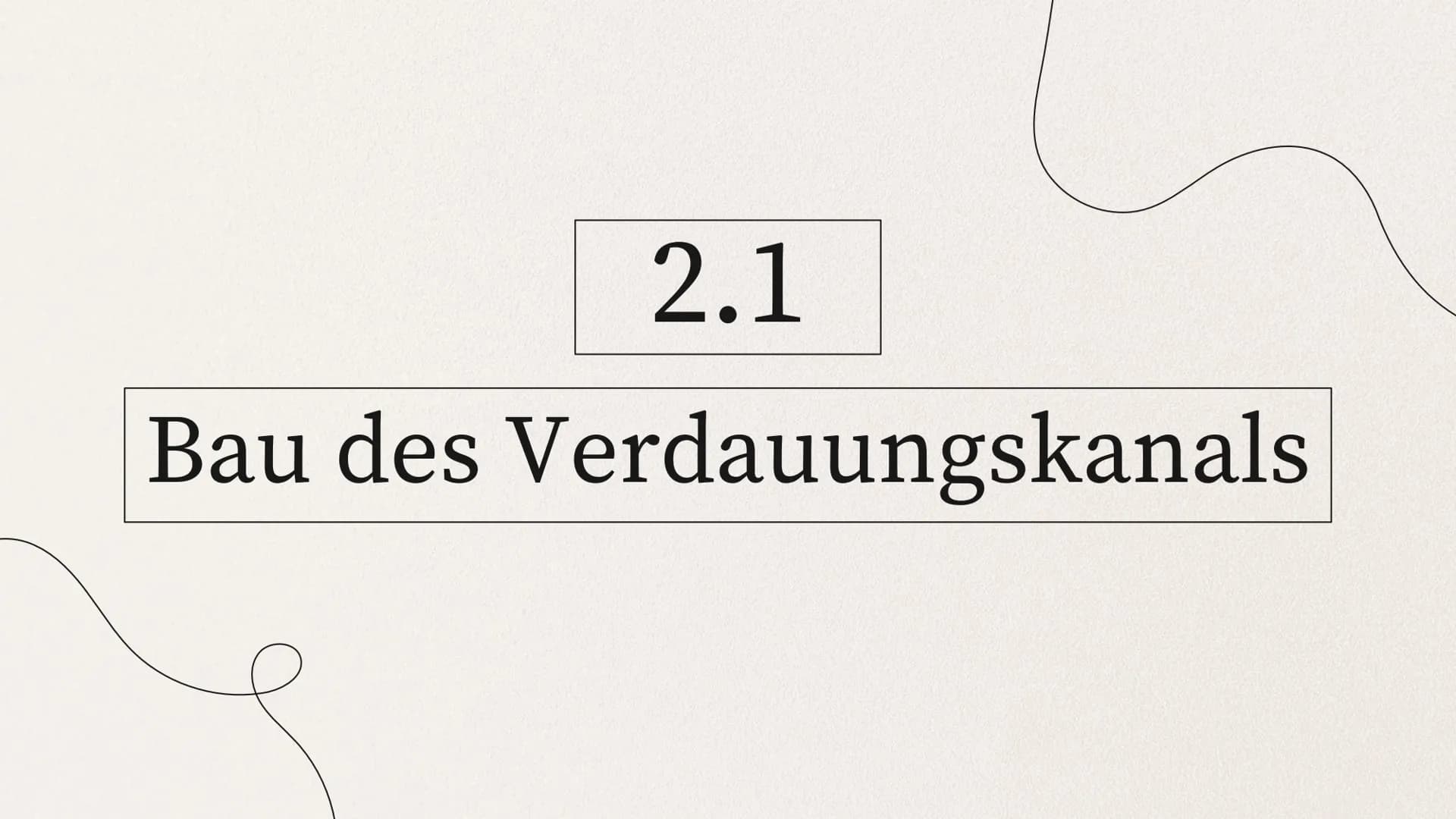 ERNÄHRUNG UND
VERDAUUNG
von Mia Edelmann GLIEDERUNG
1. Organische Stoffe
2. Verdauung des Menschens
2.1 Bau des Verdauungskanals
2.2 Wirkung