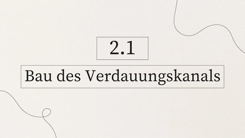 ERNÄHRUNG UND
VERDAUUNG
von Mia Edelmann GLIEDERUNG
1. Organische Stoffe
2. Verdauung des Menschens
2.1 Bau des Verdauungskanals
2.2 Wirkung