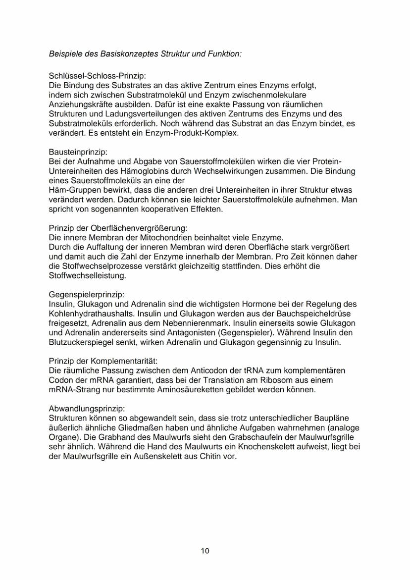 Abitur Biologie 2024 - mündlich P5
Themen:
Wiederholungen
Systemebenen
Basiskonzepte S.168
1. Funktionszusammenhänge: Leben und Energie
2. F