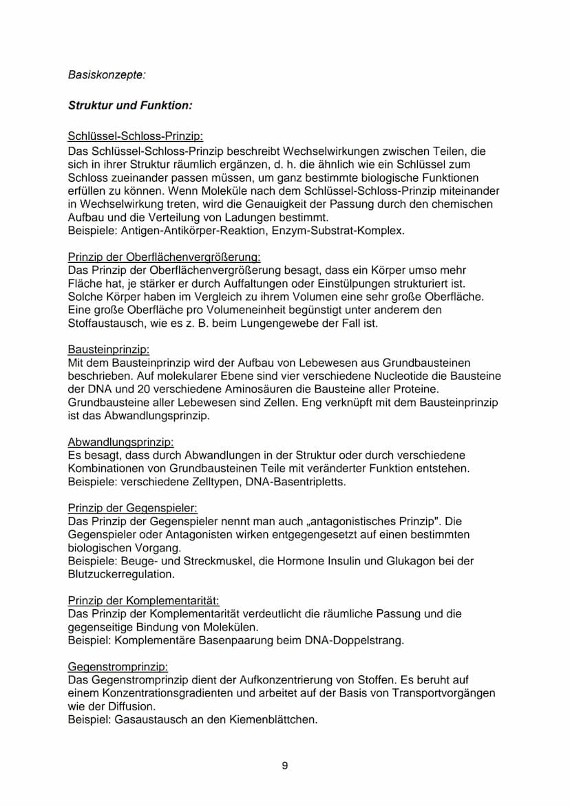 Abitur Biologie 2024 - mündlich P5
Themen:
Wiederholungen
Systemebenen
Basiskonzepte S.168
1. Funktionszusammenhänge: Leben und Energie
2. F