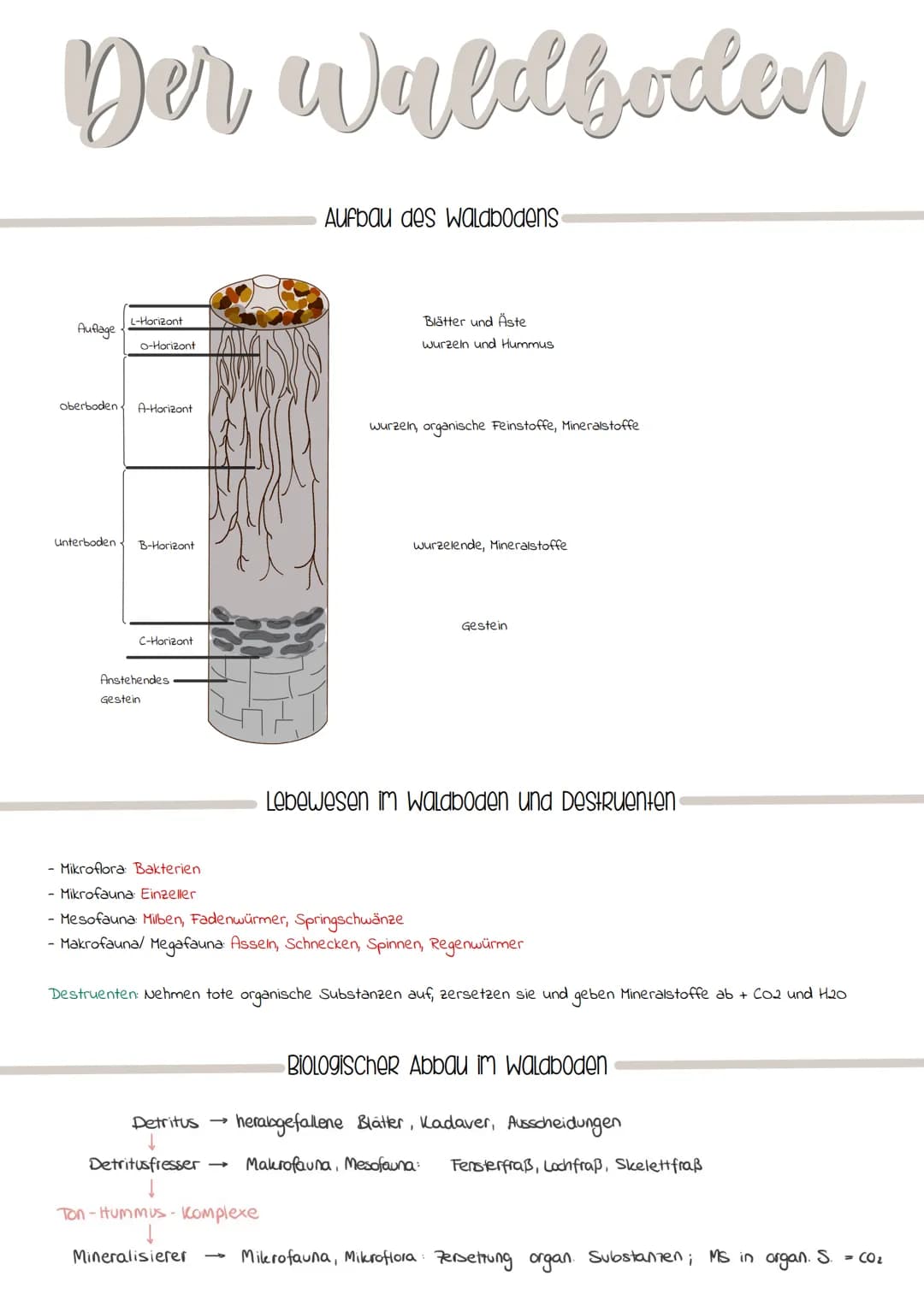 Ökologische Nische
Definition
Die ökologische Nische bezeichnet die Gesamtheit aller biotischen (Konkurrenz, Feinde, Parasiten)
und abitiosc