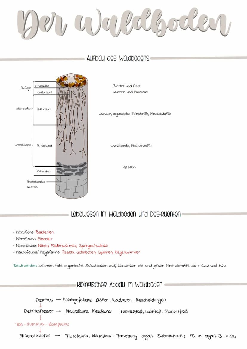 Ökologische Nische
Definition
Die ökologische Nische bezeichnet die Gesamtheit aller biotischen (Konkurrenz, Feinde, Parasiten)
und abitiosc