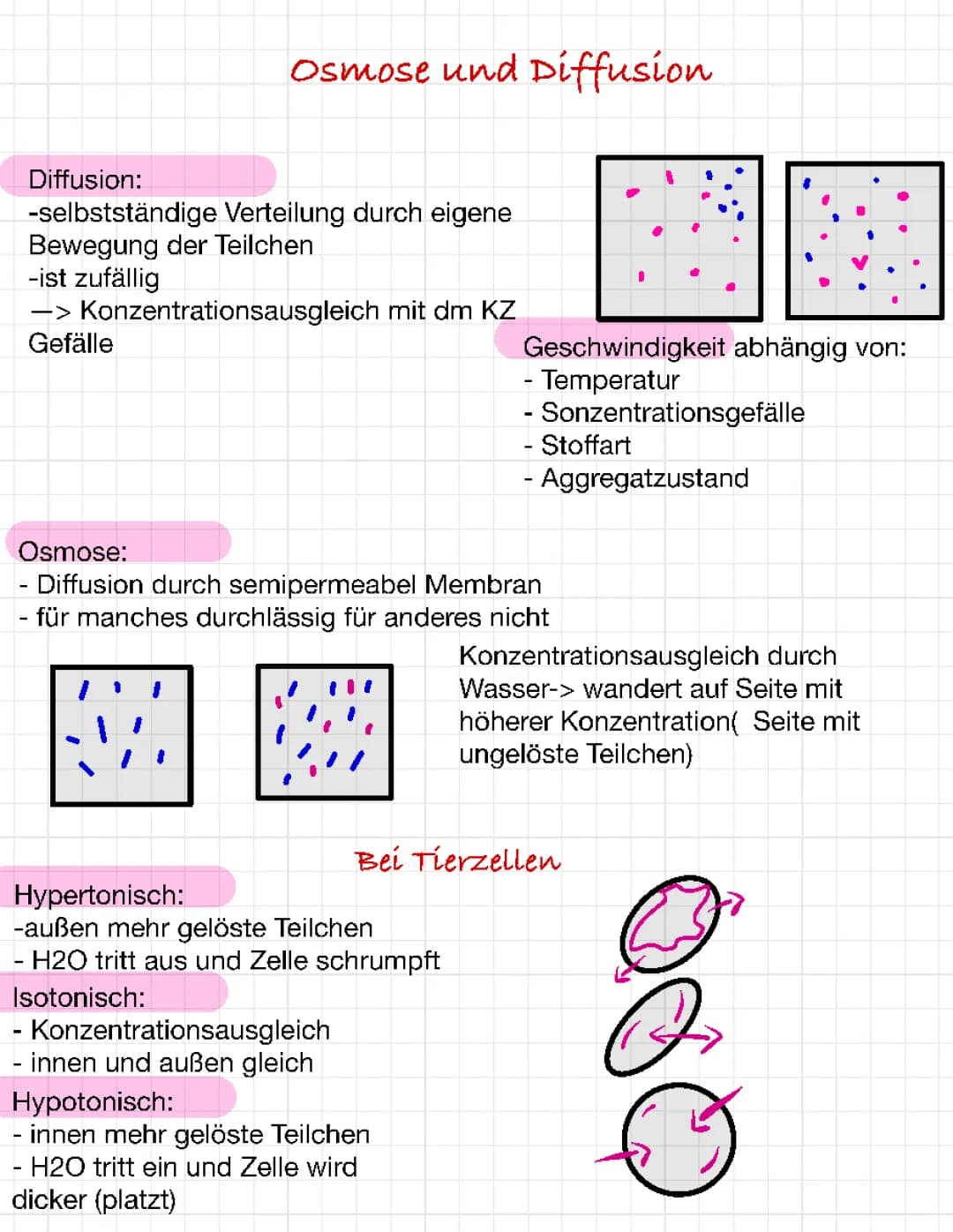 Enzyme, Blut, Lymphe 